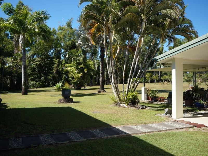 50 Paradise Palm Drive, Tully Heads QLD 4854