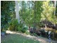 50 Paradise Palm Drive, Tully Heads QLD 4854