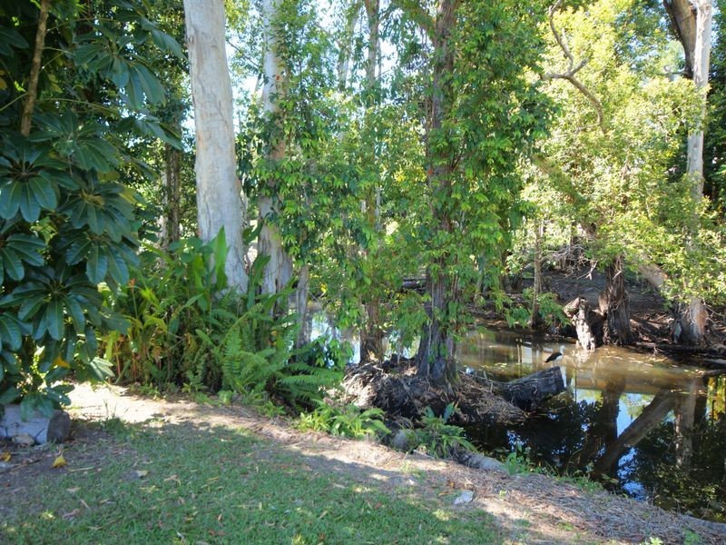 50 Paradise Palm Drive, Tully Heads QLD 4854
