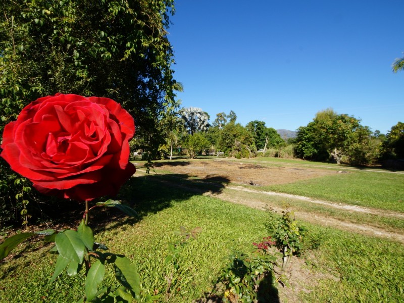 4 Appleyard Road, Bilyana QLD 4854