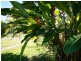 4 Appleyard Road, Bilyana QLD 4854