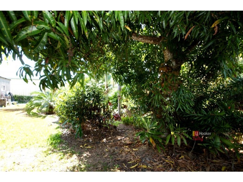 28 Melaleuca Drive, Tully Heads QLD 4854