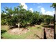 28 Melaleuca Drive, Tully Heads QLD 4854