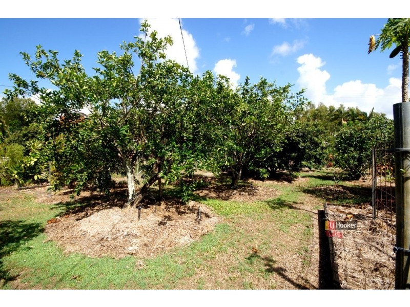 28 Melaleuca Drive, Tully Heads QLD 4854