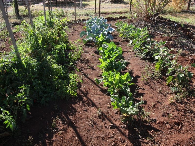 4 Goodwin Close, Tolga QLD 4882