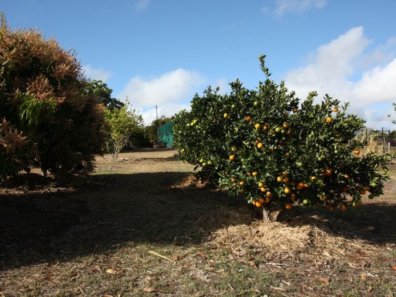 4 Goodwin Close, Tolga QLD 4882