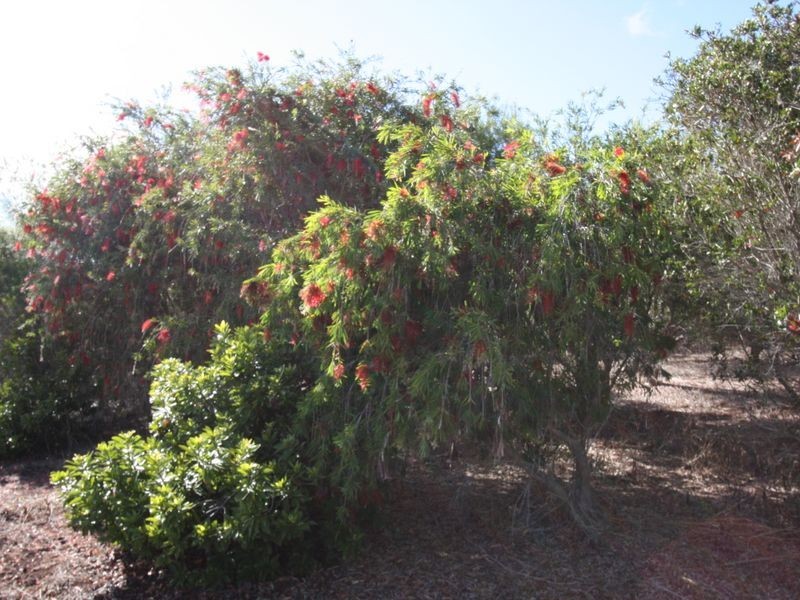 4 Goodwin Close, Tolga QLD 4882