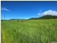 L107 Old Tully Road, Djarawong QLD 4854