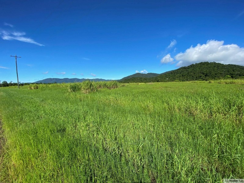 L107 Old Tully Road, Djarawong QLD 4854
