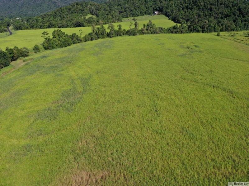 L107 Old Tully Road, Djarawong QLD 4854