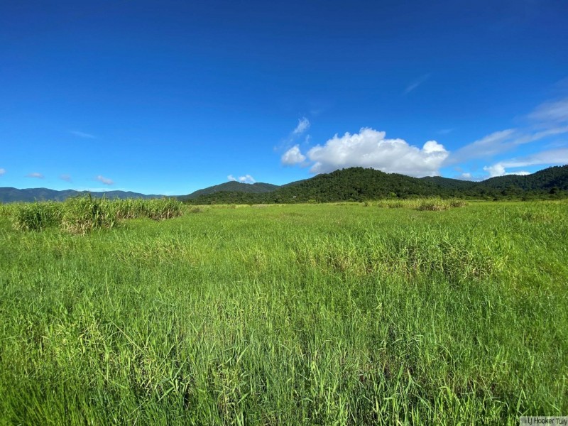 L107 Old Tully Road, Djarawong QLD 4854
