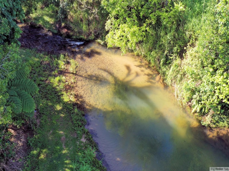 L107 Old Tully Road, Djarawong QLD 4854