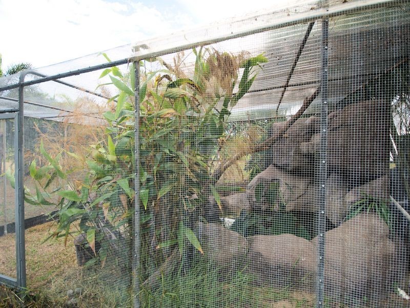 60 Hull Heads Road, Hull Heads QLD 4854