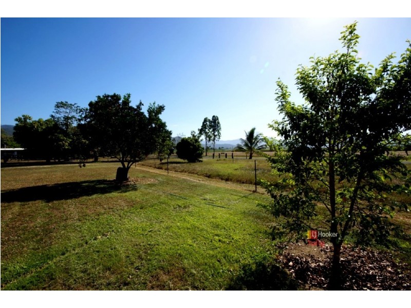 787 Upper Murray Road, Murray Upper QLD 4854
