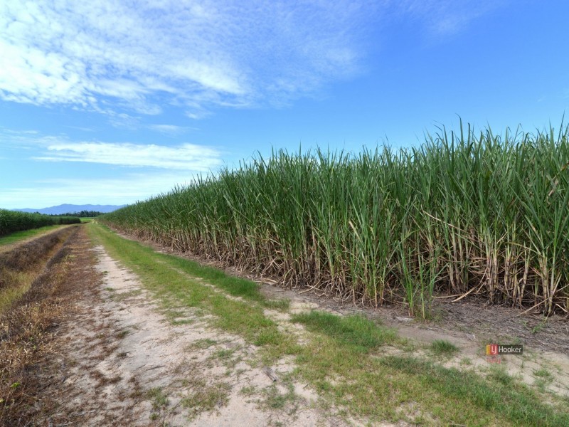 L2 Syndicate Road, Jarra Creek QLD 4854