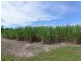 L2 Syndicate Road, Jarra Creek QLD 4854