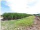 L2 Syndicate Road, Jarra Creek QLD 4854