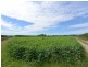 L2 Syndicate Road, Jarra Creek QLD 4854