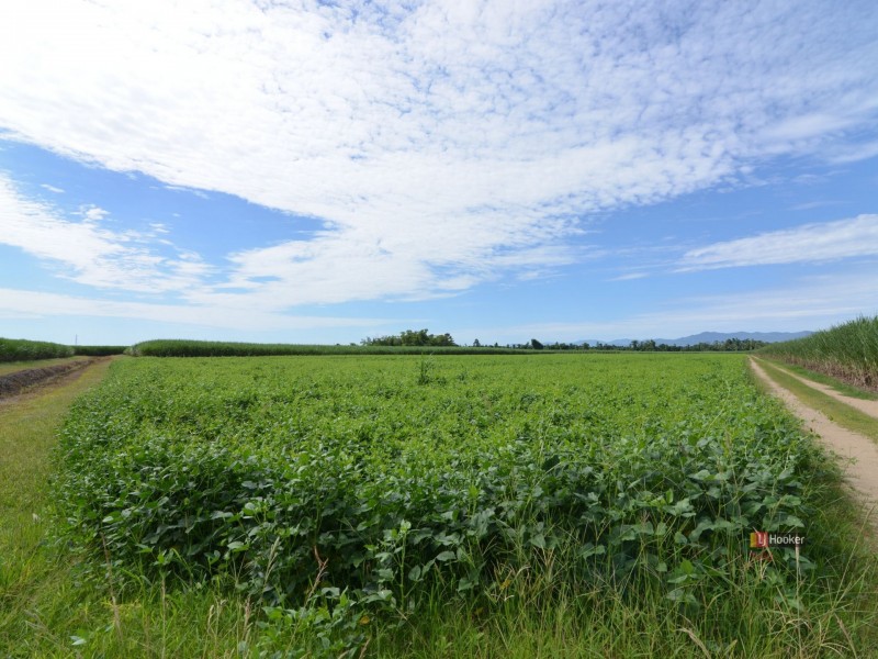 L2 Syndicate Road, Jarra Creek QLD 4854
