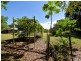 LOT 18 Paradise Palm Drive, Tully Heads QLD 4854