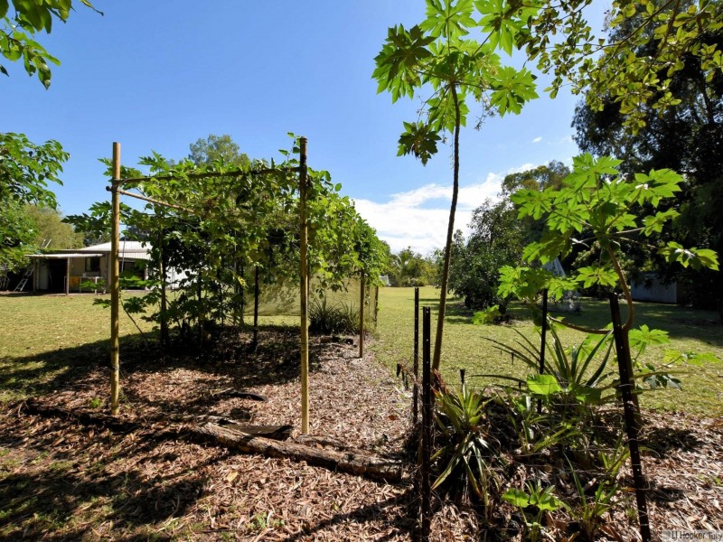LOT 18 Paradise Palm Drive, Tully Heads QLD 4854
