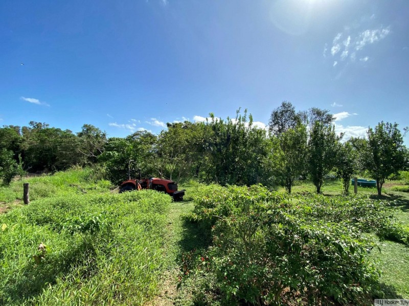 L1 Davidson Road, Munro Plains QLD 4854
