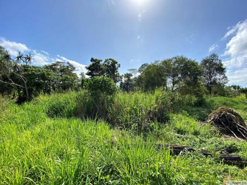 L1 Davidson Road, Munro Plains QLD 4854