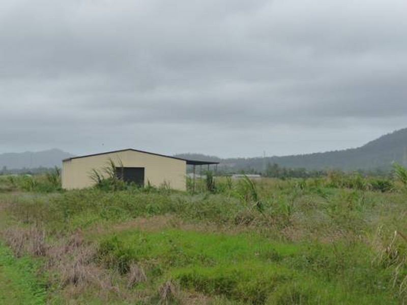 142 Old Tully Road, Birkalla QLD 4854