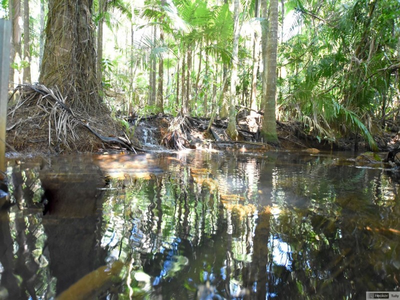 463 East Feluga Road, East Feluga QLD 4854