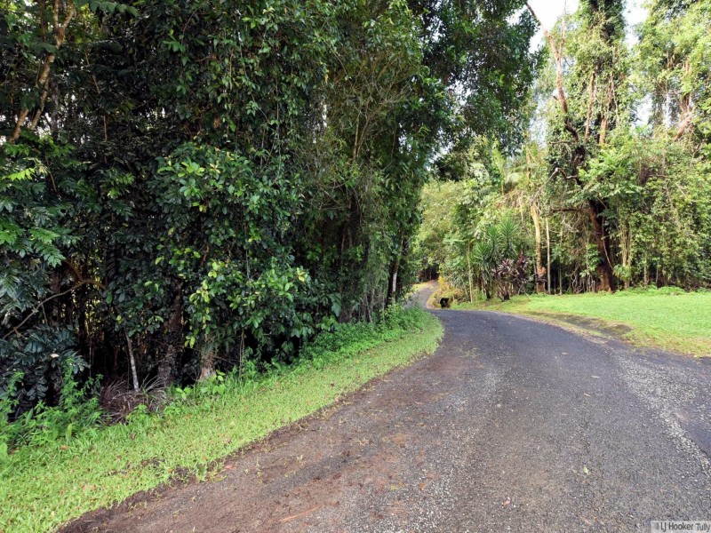 19 Bamber Street, Tully QLD 4854