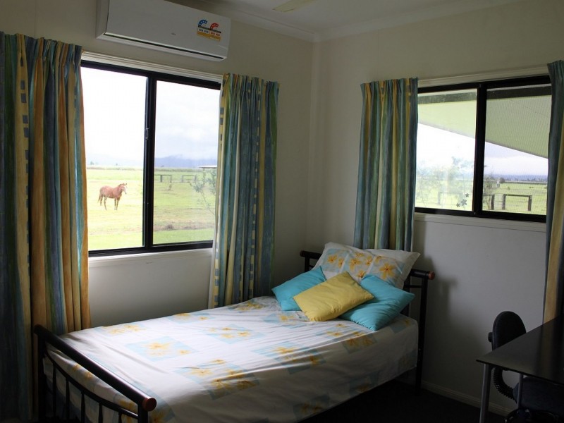 154 Old Tully Road, Birkalla QLD 4854