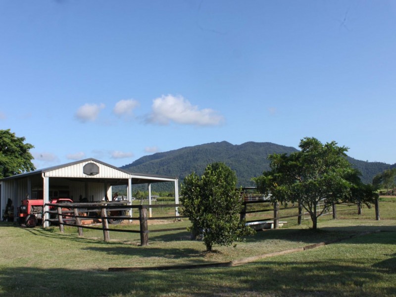 154 Old Tully Road, Birkalla QLD 4854