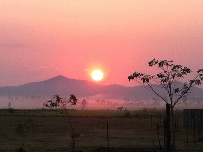 154 Old Tully Road, Birkalla QLD 4854