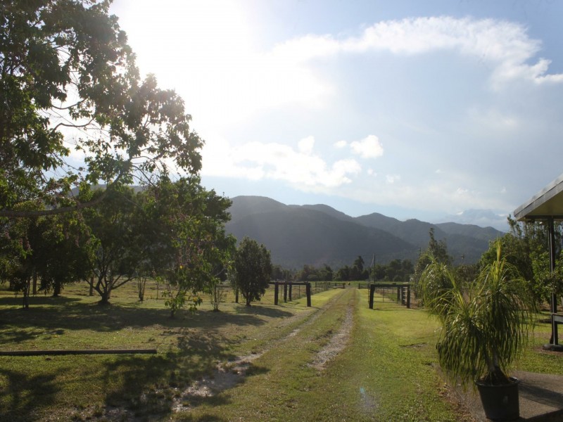 154 Old Tully Road, Birkalla QLD 4854