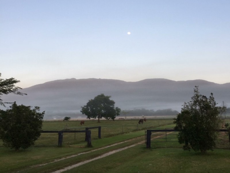 154 Old Tully Road, Birkalla QLD 4854