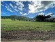 40 Campbell Street, Tully QLD 4854