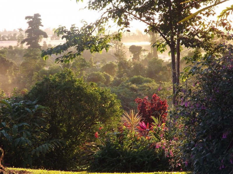 54 Thistle Road, Maadi QLD 4855