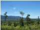 Lot 104 – Dingo Pocket Road, Dingo Pocket QLD 4854
