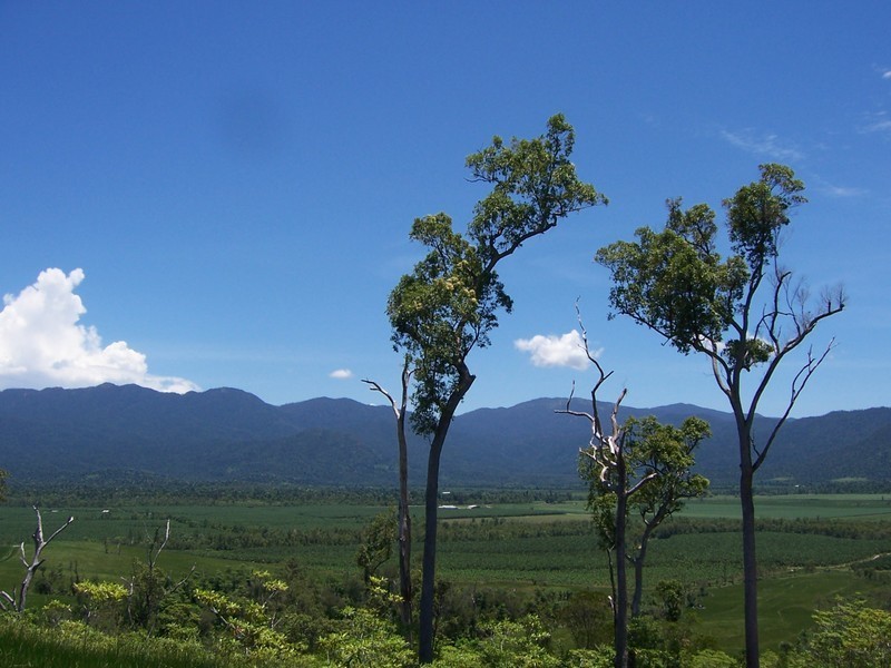 Lot 104 – Dingo Pocket Road, Dingo Pocket QLD 4854