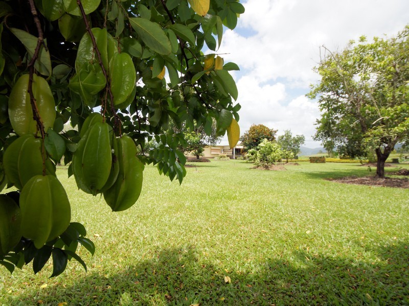 708 East Feluga Rd, East Feluga QLD 4854
