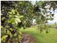 708 East Feluga Rd, East Feluga QLD 4854