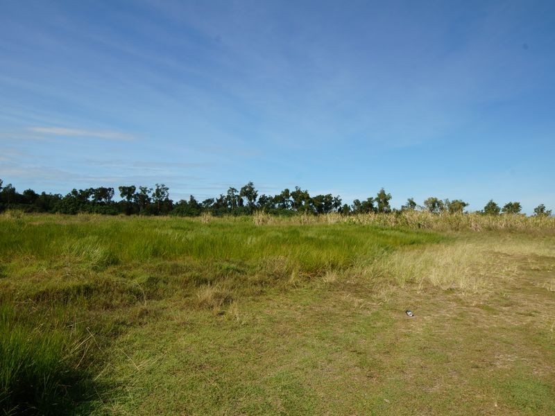 L42 Vipiana Drive, Tully Heads QLD 4854