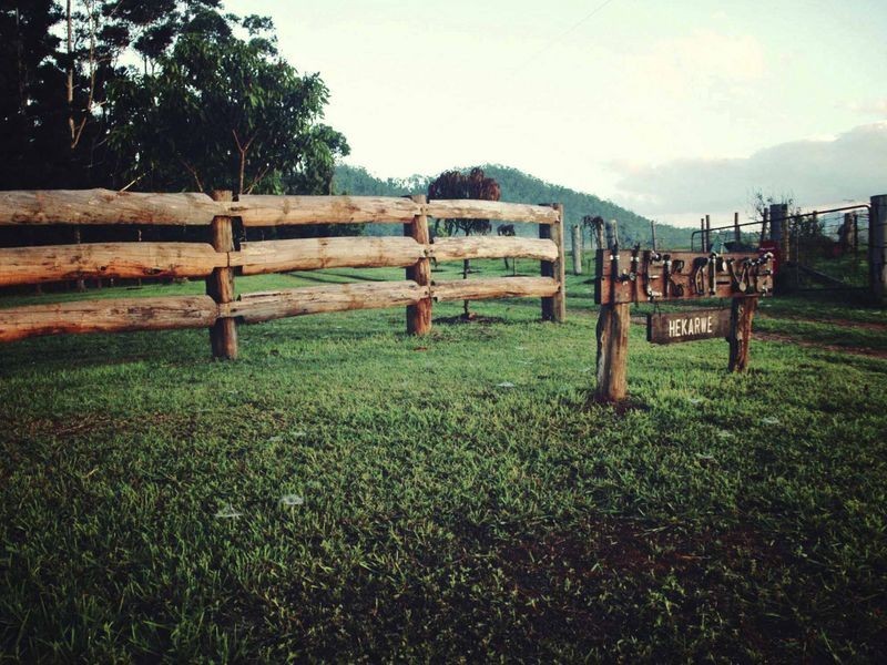 640 Scougall Road, Dingo Pocket QLD 4854