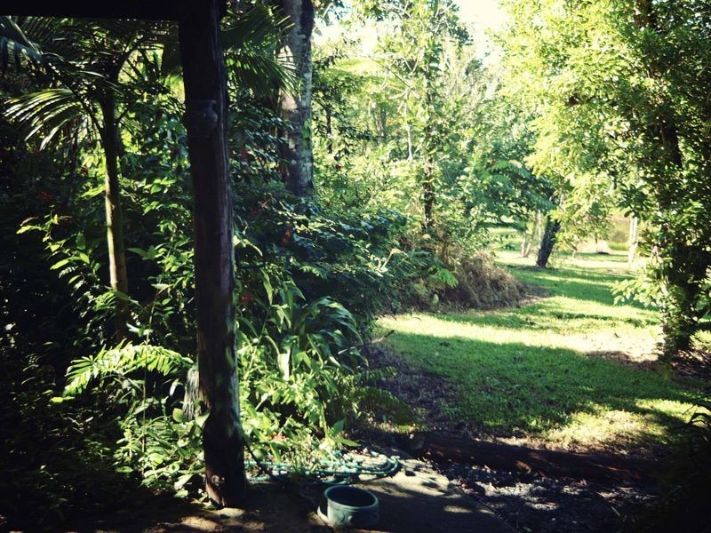 640 Scougall Road, Dingo Pocket QLD 4854