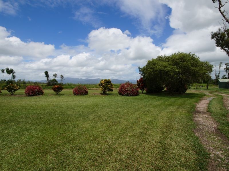 42 Bellenden Road, Murray Upper QLD 4854