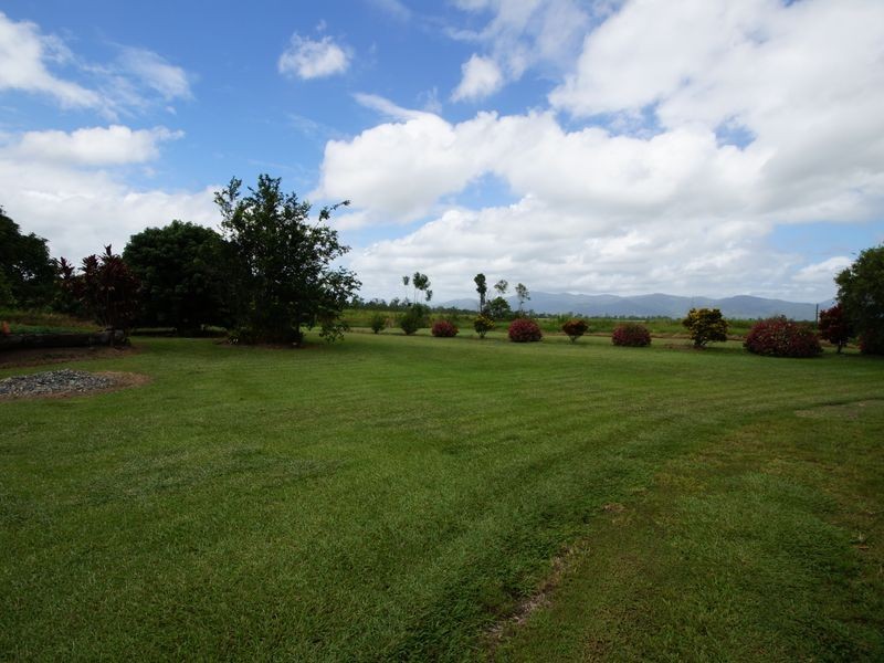 42 Bellenden Road, Murray Upper QLD 4854