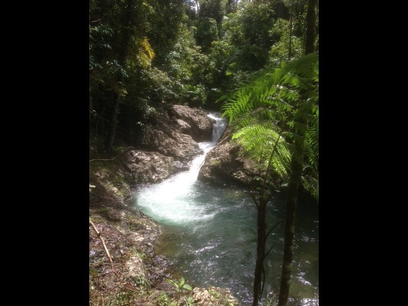 L1 Whing Creek Road, El Arish QLD 4855