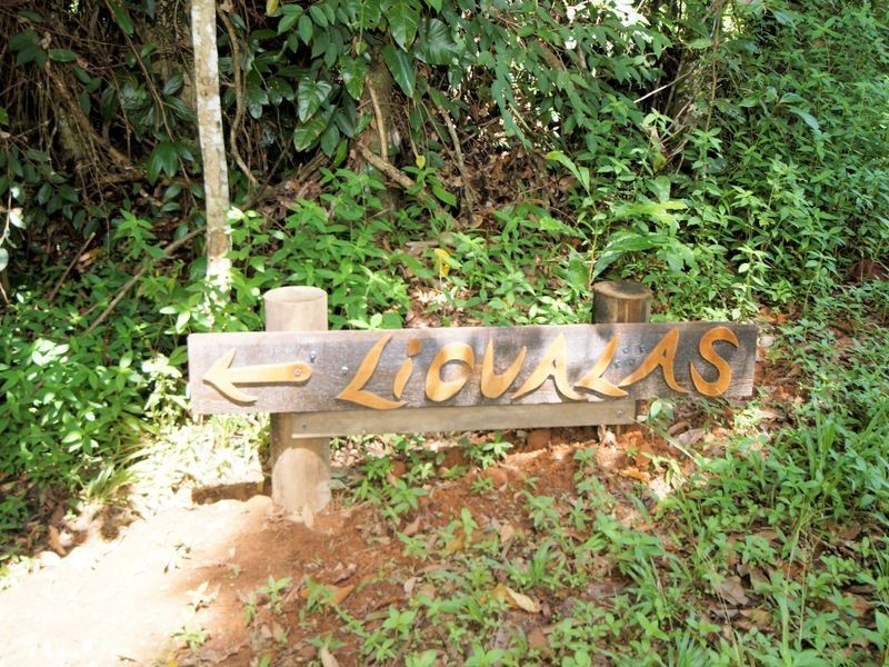 L1 Whing Creek Road, El Arish QLD 4855