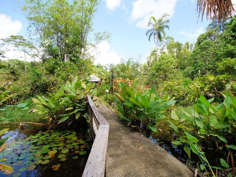 L3 Shell Pocket Road – El Arish, Tully QLD 4854