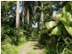 L3 Shell Pocket Road – El Arish, Tully QLD 4854